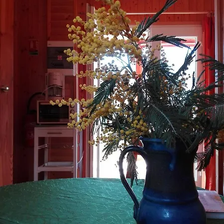 Guest house Giteslescasots *